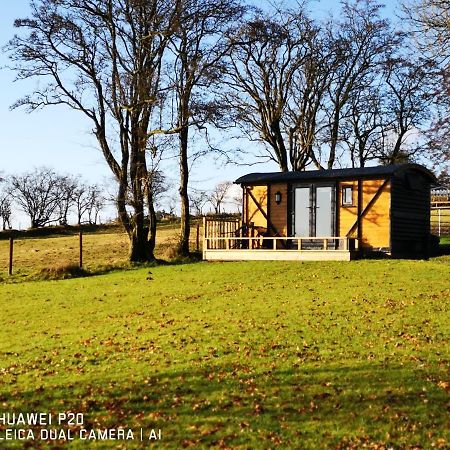 ランドリンドッド・ウェルズ Pen-Rhos Luxury Glamping "Cuckoo'S Nest"ヴィラ エクステリア 写真