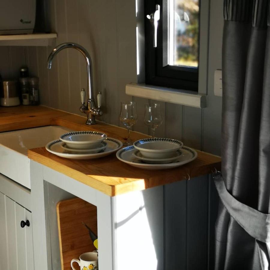 ランドリンドッド・ウェルズ Pen-Rhos Luxury Glamping "Cuckoo'S Nest"ヴィラ エクステリア 写真