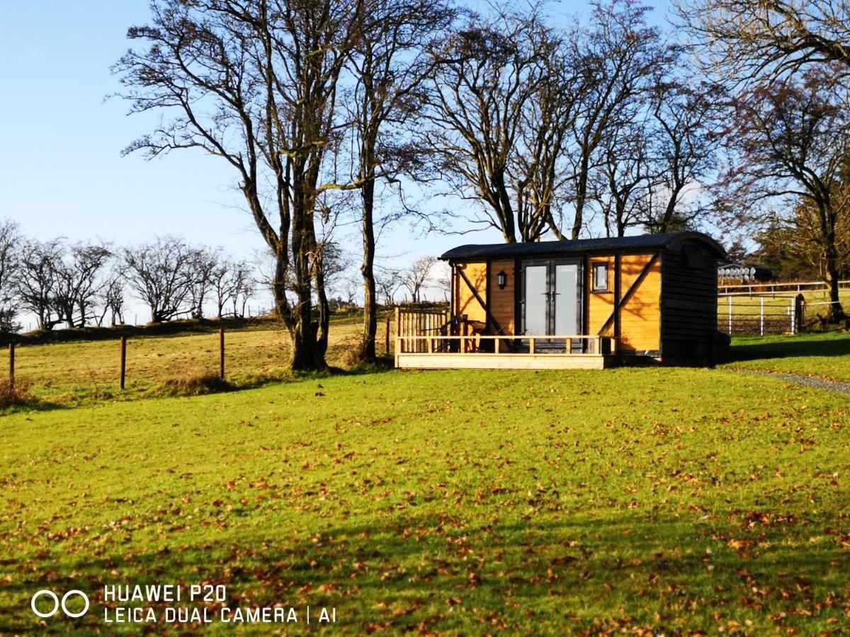 ランドリンドッド・ウェルズ Pen-Rhos Luxury Glamping "Cuckoo'S Nest"ヴィラ エクステリア 写真