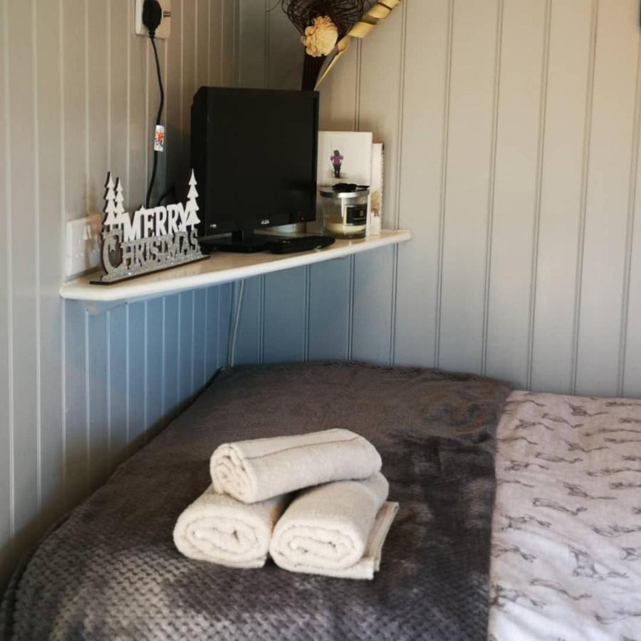 ランドリンドッド・ウェルズ Pen-Rhos Luxury Glamping "Cuckoo'S Nest"ヴィラ エクステリア 写真